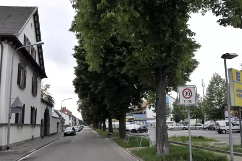 In einem Teil der Flomersheimer Haardtstraße darf ab Mittwoch nicht mehr geparkt werden.