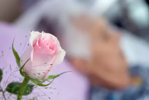 Eine Rose neben dem Bett soll einer todkranken Frau Wärme geben. Das versuchten auch 15 Teilnehmer eines Hospizbegleitungskurses