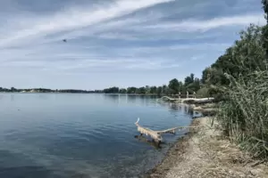 Blick in Richtung Ostufer: Nur ein Teil des Silbersees darf zum Baden genutzt werden. Blick in Richtung Ostufer: Nur ein Teil des Silbersees darf zum Baden genutzt werden.