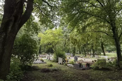 Der Friedhof des Stadtteils liegt mitten im Wald, mit vielen schönen Bäumen und reichlich Platz. Da geraten auch Menschen aus de