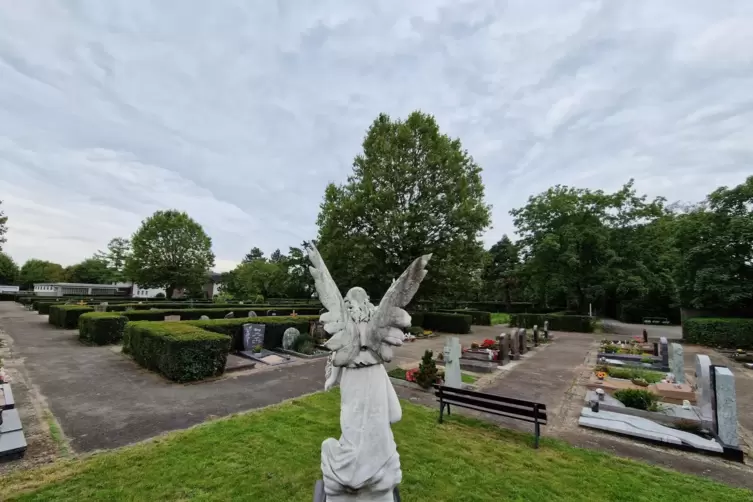 Der Friedhof in Ketsch (Rhein-Neckar-Kreis). Hier muss die Gemeinde regelm&auml;&szlig;ig gegen die invasive Ameisenart &bdquo;Tapinoma magnum&ldquo; v