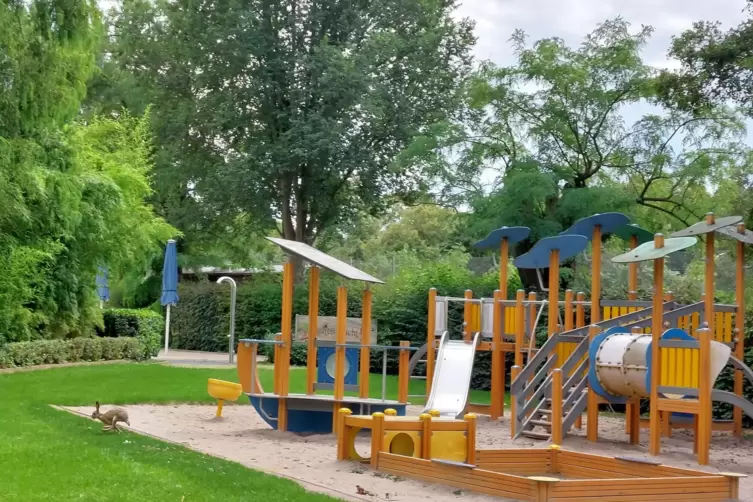 Im Frankenthaler Strandbad hoppelt durchaus auch mal ein Hase &uuml;ber den Spielplatz.