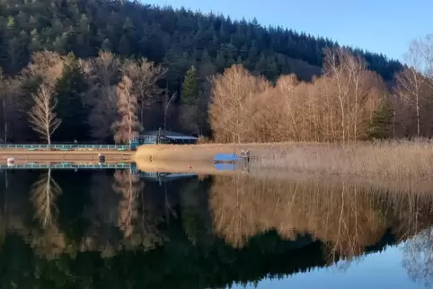 Am Ostermontag haben die Tierretter zwei Esel eingefangen, die einen spontanen Spaziergang durch Pirmasens unternommen hatten. S