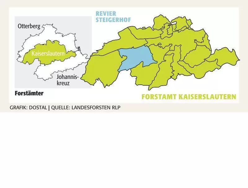 kai_forstrevier_steigerhof_ngen