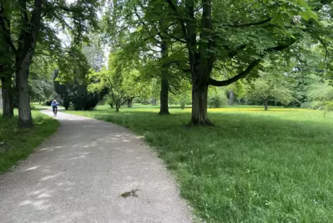 Soll mit Zuschüssen klimafit gemacht werden: der Frankenthaler Ostpark. 