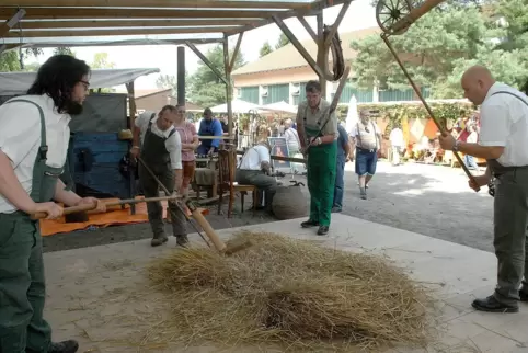 Getreidedreschen wie in früheren Zeiten: Auf dem Dannenfelser Dorfmarkt wird am Wochenende alte Handwerkskunst wieder aufleben l