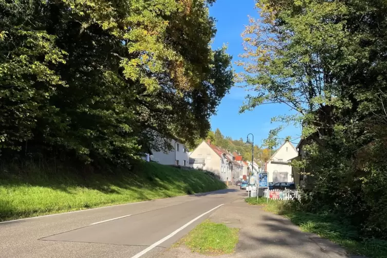Hier, an der L474 vor Thaleischweiler-Fröschen, endet der Radweg. Es fehlt eine Überleitung auf die Fahrbahn.