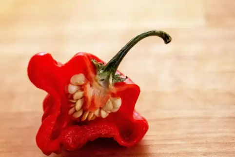 Menschen essen gerne scharf. Wird es zu scharf, kann das zu Schmerzen und Ohnmacht führen. 