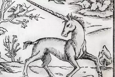 Mittelalterliche Einhorn-Darstellung: Noch im 16. Jahrhundert ging man davon aus, dass Einhörner existieren. 