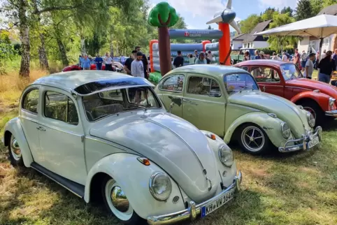 Auch alte VW-Käfer gehörten in der Vergangenheit zu den Ausstellungsstücken