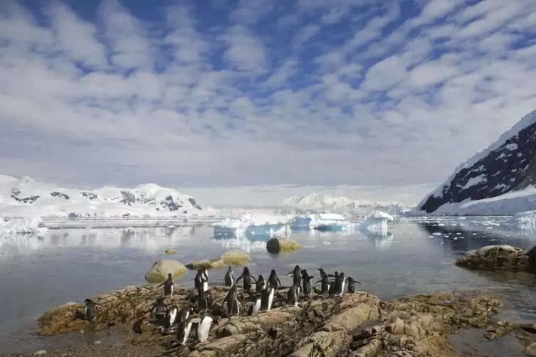 Infolge eines größeren Ozonlochs könnte das Meereis in der Antarktis weiter schmelzen. Dies könnte auch die Pinguine bedrohen.