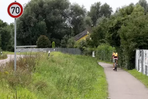 Soll von zwei auf drei Meter verbreitert werden: Der heute manchmal zugewachsene Radweg Wörth/Jockgrim wird Teil der Pendlerrout