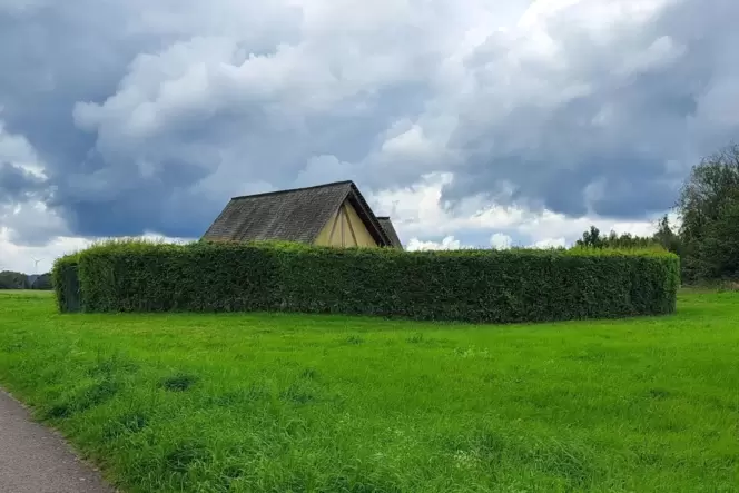 Nur das Dach lugt über die Hecke: keltische Hütten der Treverer Siedlung auf dem Ritter-Gerin-Weg bei Schönenberg-Kübelberg.