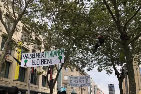 Die Gruppe „Karlsruher Platanen bleiben!“ in den Bäumen der Innenstadt. 