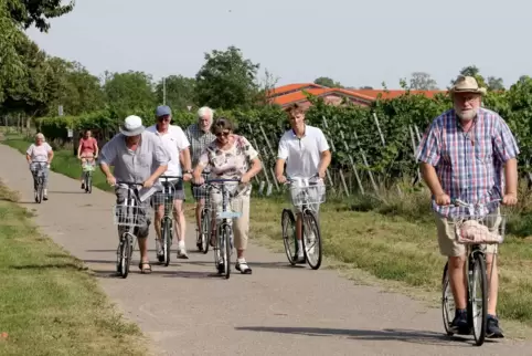 Jakob Burkhart hat eine 3,5 Kilometer lange Tour durch die Weinberge bei Kleinfischlingen für unsere Leser zusammengestellt. 