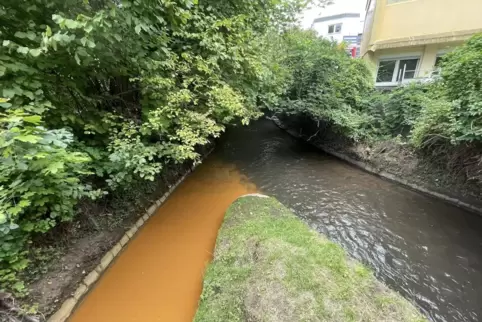 Trübe Aussicht: Rostbraun gefärbtes Wasser im Zufluss (links) in den Woogbach an der Kreuzung Rauschendes Wasser am Dienstag. 