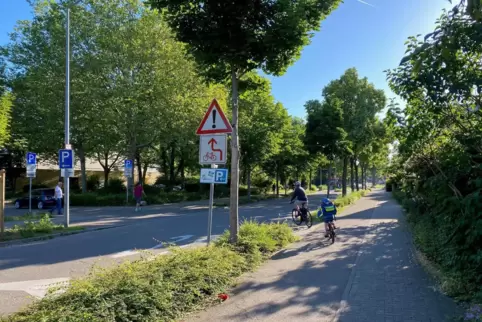 Das reicht noch nicht: Auch wenn es schon recht grüne Flecken, hier in der Fritz-Ober-Straße, gibt, für eine gesunde Stadt fehle