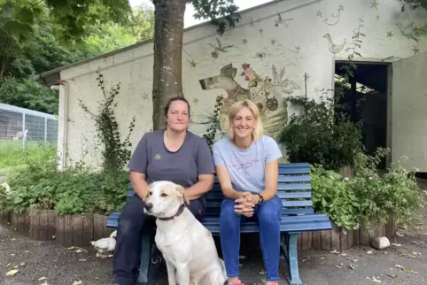 Tierheimleiterin Katja Bösel und Vorstandsvorsitzende Nadine Bender (von links) kritisieren die Adoption von Hunden, die die neu