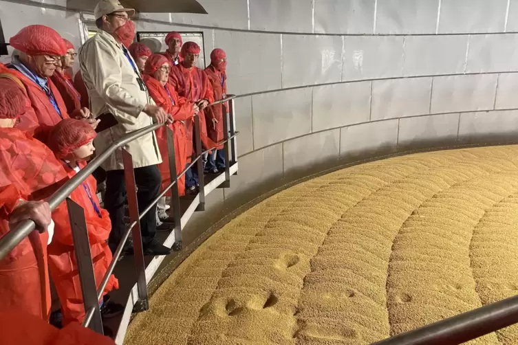 In einer Keimkammer wird Weizen zum Keimen gebracht.