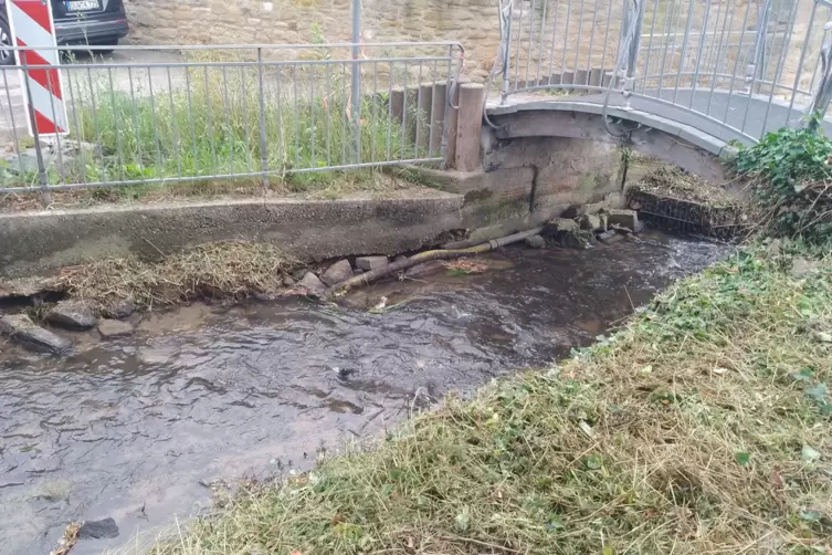  Der niedrige Wasserstand der Isenach hat negative Folgen, mahnt Bürgermeister Alexander Bergner. An der Rialtobrücke brechen St