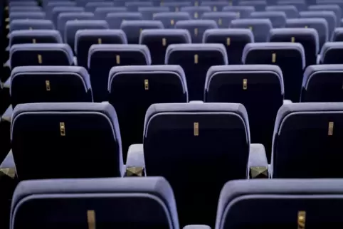 Für Branchenkenner müsste das Walzmühl-Kino verkleinert und modernisiert werden. 