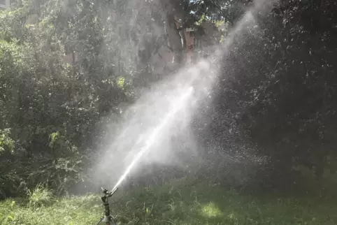 Der Rasen muss nicht mit wertvollem Trinkwasser beregnet werden. 