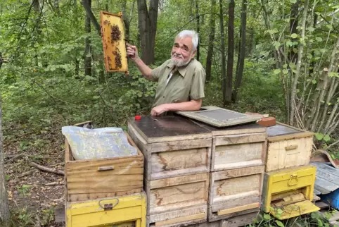 Robert Bickel vermisst 15 bis 20 Bienenwaben. 