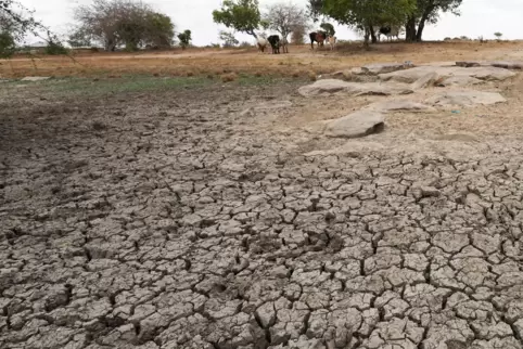 Afrika hat unter den Folgen der Klimakrise besonders zu leiden.