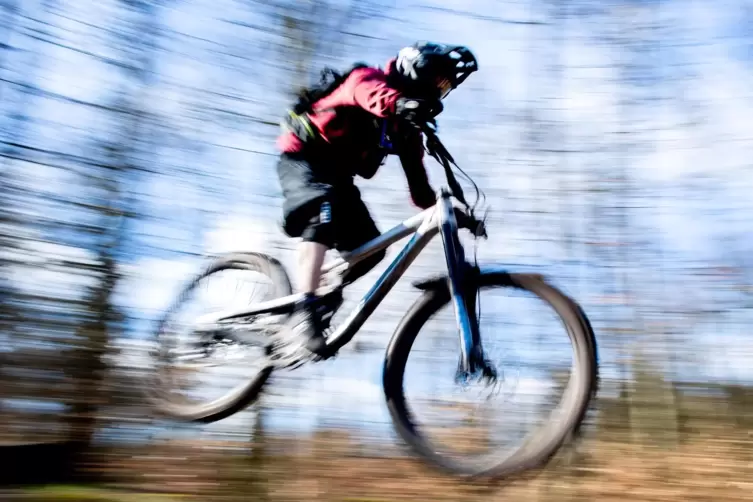 Mountainbiker im Wald (Symbolbild).