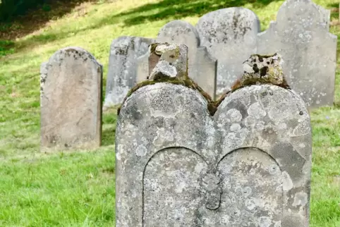  232 Grabsteine befinden sich auf dem jüdischen Friedhof von Steinbach. 