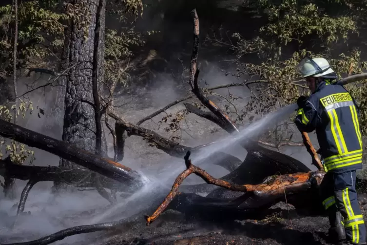 Die Beschaffung von L&ouml;schwasser gestaltet sich bei Waldbr&auml;nden besonders schwierig. 