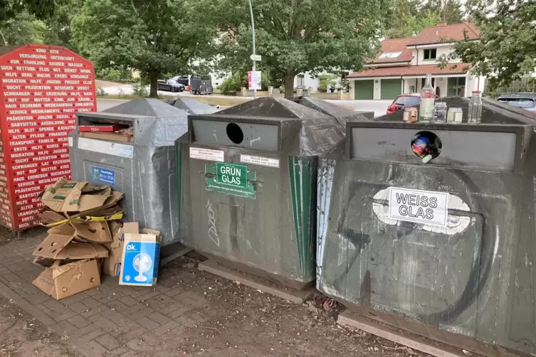 Am World Clean Up Day kann man mithelfen, den Müll von Straßen und Wäldern zu sammeln und ihn dorthin zu befördern, wo er hingeh