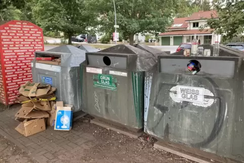 Am World Clean Up Day kann man mithelfen, den Müll von Straßen und Wäldern zu sammeln und ihn dorthin zu befördern, wo er hingeh