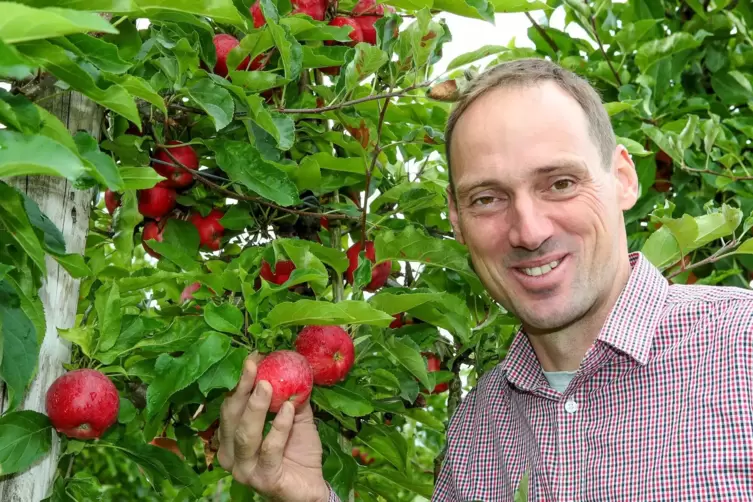 Landwirt Michael Engel freut sich auf die Selbstpfl&uuml;cker auf seiner Plantage in B&ouml;hl-Iggelheim. 