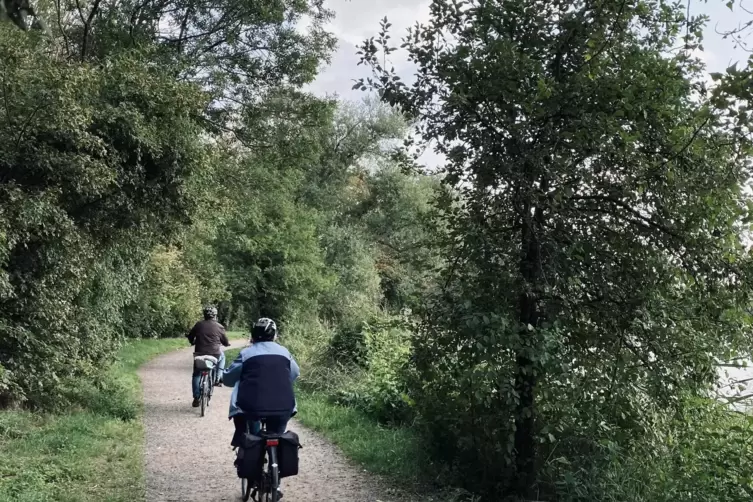 Viele Fahrradfahrer umrunden den See und kehren auch mal in der Fischerh&uuml;tte ein.
