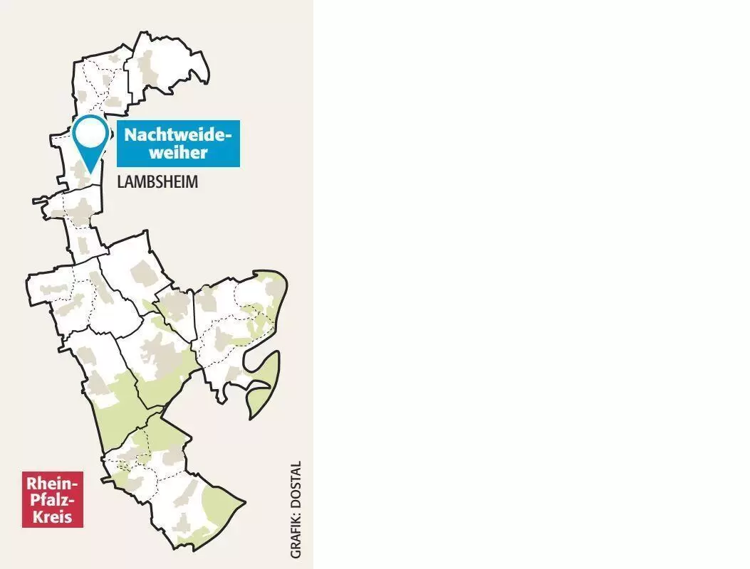 nachtweideweiher_lambsheim_ngen