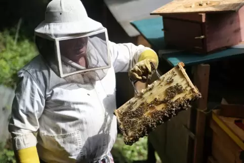 Walter Dick vom Imkerverein Kusel hat vor 20 Jahren mit der Imkerei begonnen und betreut mittlerweile 25 Bienenvölker.