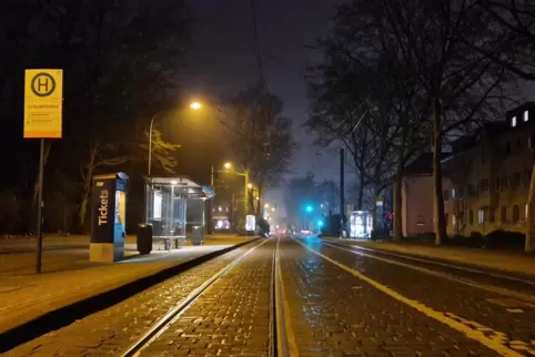 Im abendlichen Dämmerlicht: von Bäumen gesäumte Frankenthaler Straße an der Haltestelle Hauptfriedhof.