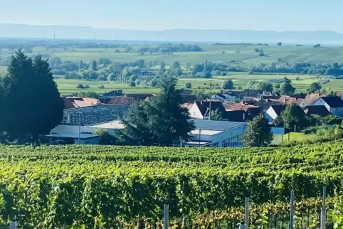 Umringt von Weinbergen und Bäumen: die ehemalige Kleiderfabrik.