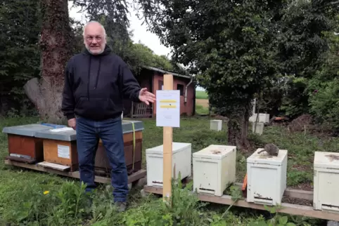 Die Bienenstöcke von Imker Rüdiger Muckel waren auf dem gepachteten Gelände des gemeindeeigenen Grundstücks immer wieder abgebau
