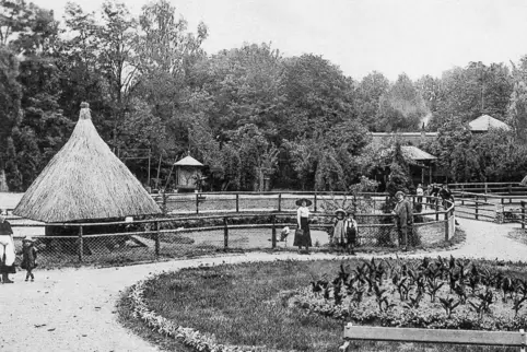 Ein Eindruck aus vergangenen Tagen: der Zoo auf einem undatierten Archivbild. 