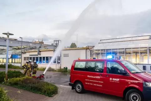 Wasser wird zur gleichen Zeit über die Dächer der Gewächshäuser gespritzt, um das Aufsteigen giftiger Dämpfe zu verhindern. 