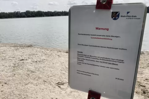Wurden Ende August in Lambsheim am Weiher aufgestellt: Warnungen vor Blaualgen. 