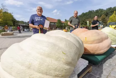 Die Giganten und ihre Herren bei der Meisterschaft auf der Gartenschau. Matthias Würsching, Zweiter von links, machte mit seinem