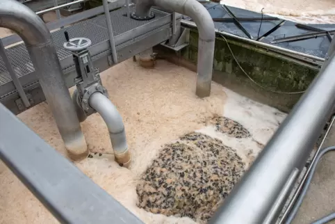 Bevor Kartonhersteller Buchmann das Wasser aus der Produktion in die Queich zurückleitet, wird es auf dem Werksgelände in Annwei