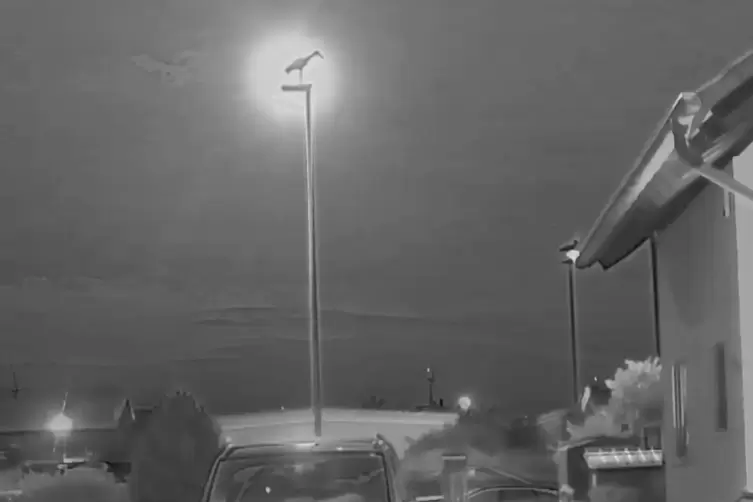 Die Firma Dycon hat eine Marktnische ausgemacht. Ihre Ger&auml;te helfen, in der Nacht mehr zu erkennen. 