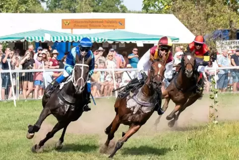 Das Hauptereignis, das Rennen um das schwarz-gelbe Band von Billigheim, ist mit 2700 Euro dotiert.