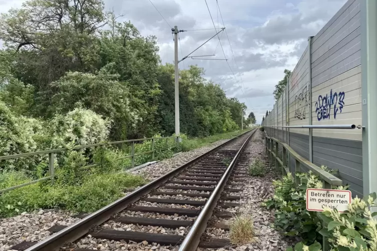 Das BASF-Gleis in H&ouml;he des Edigheimer Ortsteils Zinkig mit der dortigen L&auml;rmschutzwand. 