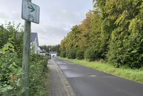 Kommt die Wohnbebauung wie vorgesehen, muss ein Waldstück zwischen den vorhandenen Häusern (linker Bildrand) und dem Sportgeländ