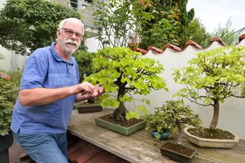 Preisgekrönt: Walter Geyer mit seiner Linde, die auf der Bundesgartenschau ausgezeichnet wurde.